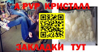 стафф Будённовск
