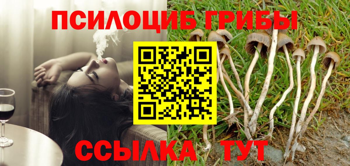 Сегежа  Псилоцибиновые грибы мицелий  сколько стоит  Вход с VPN 